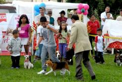 copa canina.JPG